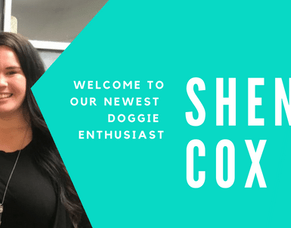 Welcome to our New Recruit